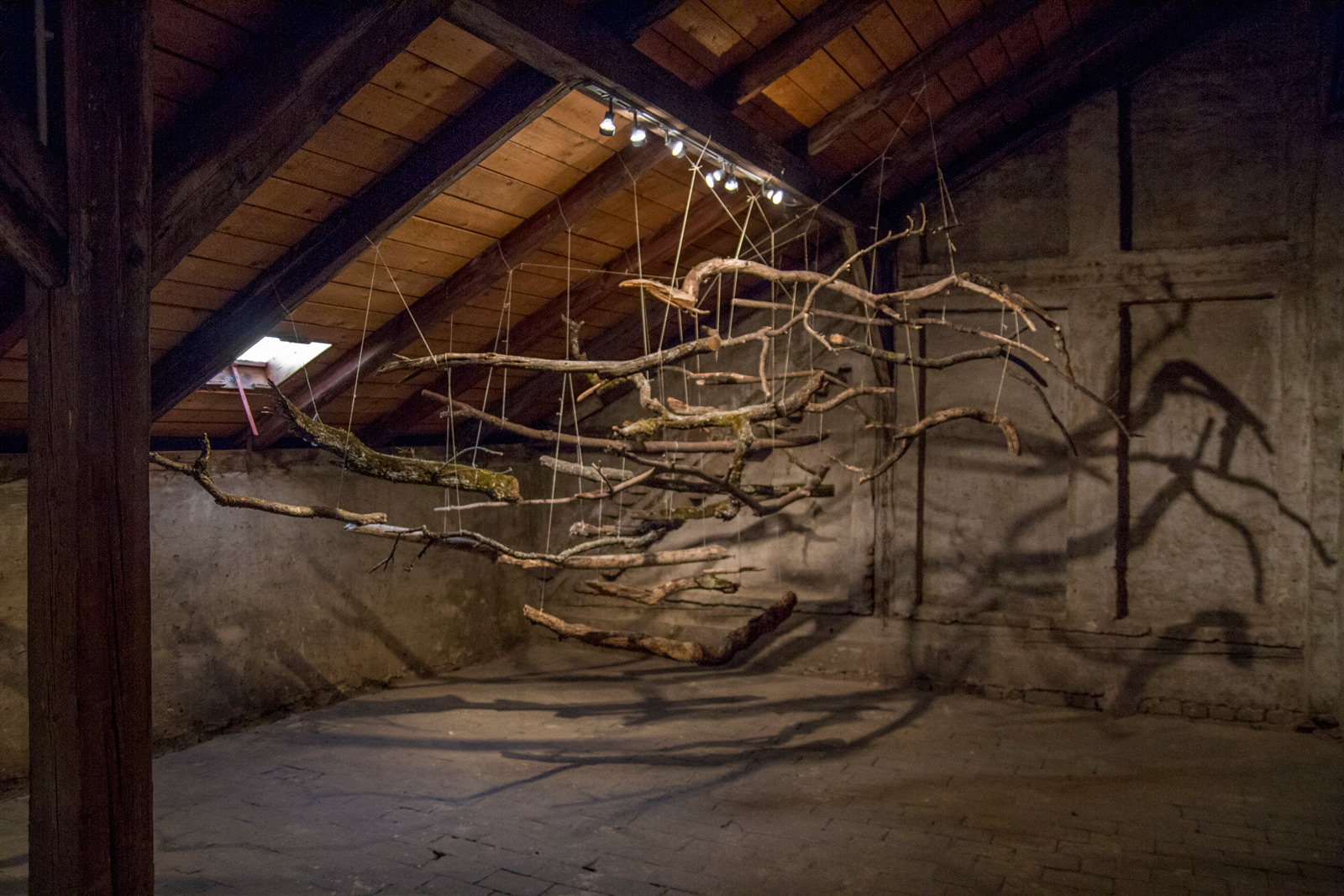 The Sublime III, 2015 | 250cm (X) x 250cm (H) x 130cm (Z) | Dead wood, strings