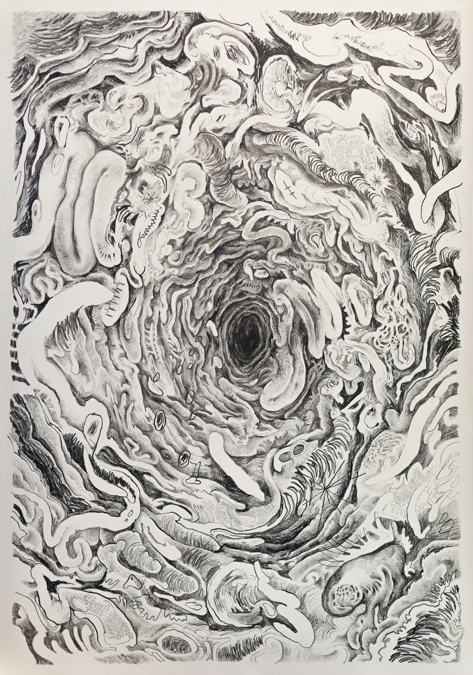 A Life XIV, 2016 | 76cm x 106cm | Crayon on paper