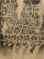 Entanglement II, 2019 | Charcoal on wood panel | 30cm x 40cm