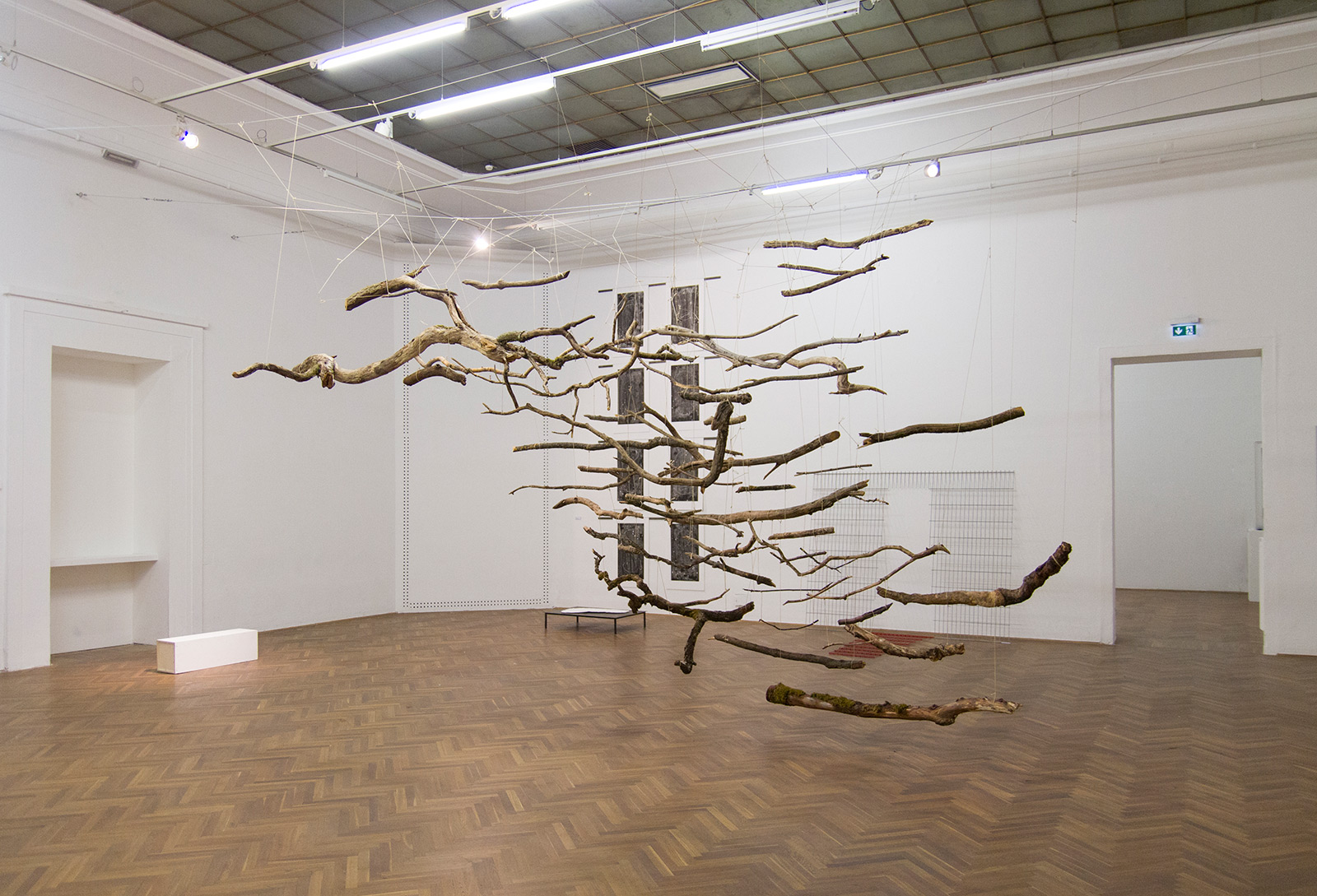 The Sublime VI, 2015 | 500cm (X) x 500cm (H) x 300cm (Z) | Dead wood, strings